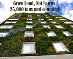 grow food